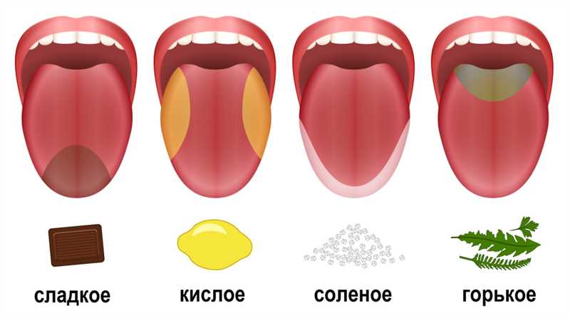 Куай тео: суп с рисовыми лапшами, говядиной и морепродуктами - блюдо для настоящих гурманов